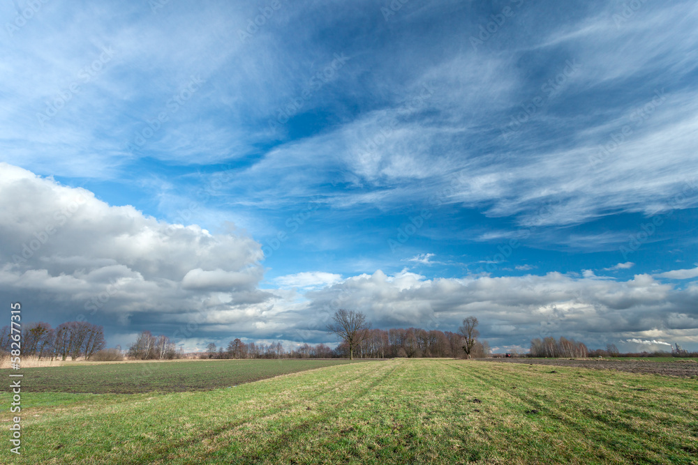 Clouds on the blue sky above the meadow