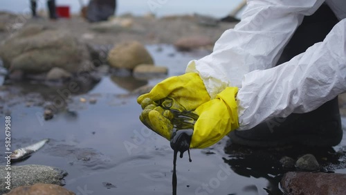 volunteer's hands the problem of oil spill and pollution on the seashore
