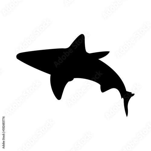 Shark silhouette