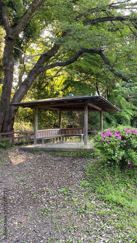 bench in the garden