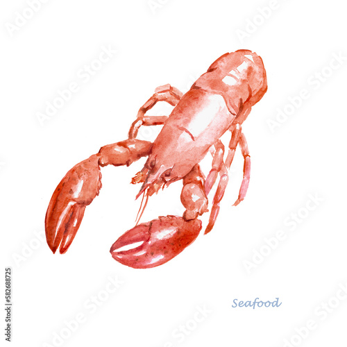  Lobster  , omar,  seafood , crawfish, watercolor,  food illustrations	