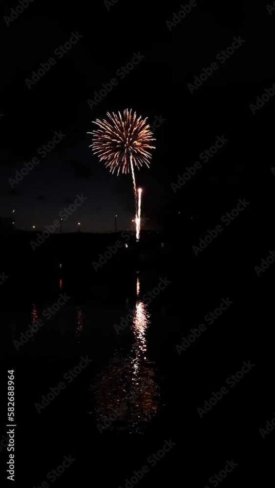 Real colourful fireworks above the river Main. New year's eve, anniversary, independence day, wedding, festival, celebration, show concept. Beautiful abstract background or wallpaper. Real colourful fireworks above the river Main. New year's eve, anniversary, independence day, wedding, festival, celebration, show concept. Beautiful abstract background or wallpaper.
