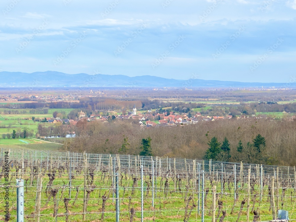 A Winter's Whisper: Hartmannswiller Village, Its Church Steeple, and Ollwiller Vineyard's Panoramic Vista of the Alsace Plain and Distant Mountain Silhouettes