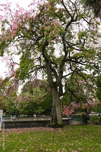 Beautiful and leafy Principe Real garden in Lisbon