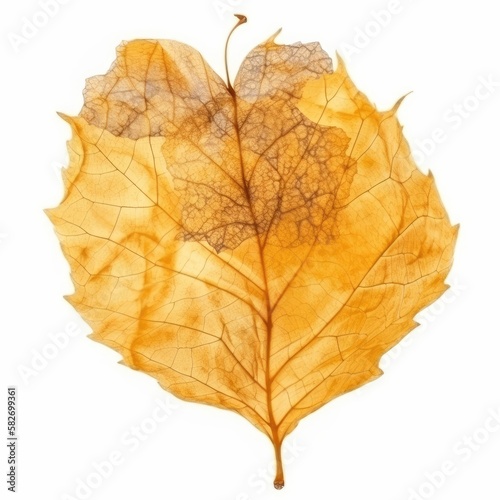 Yellow dry falling leaf isolated on white, generative ai