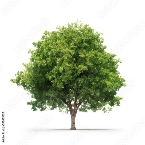 Cut out greenery tree shape isolated on white background  generative ai