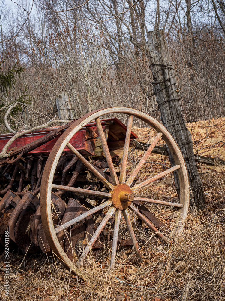 old wagon in the woods