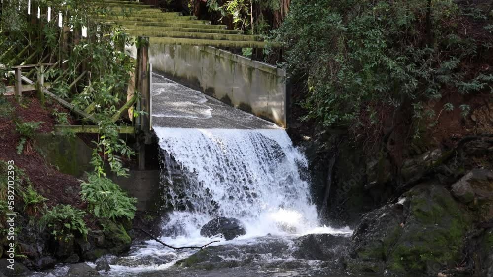Water flows down spillway into rocky pool in redwood forest after rain Water flows down spillway into rocky pool in redwood forest after rain