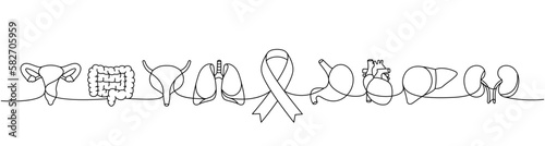 Reproductive system, intestines, bladder, lungs, stomach, heart, liver, kidneys one line illustration. Cancer ribbon, AIDS ribbon one line symbols.