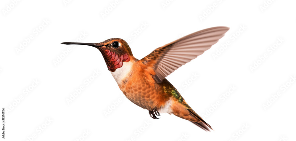Fototapeta premium Flying hummingbird isolated on transparent background. PNG. Small colorful bird in flight. Digital ai art 