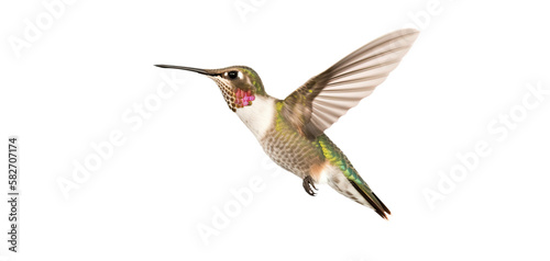 Flying hummingbird isolated on transparent background. PNG. Small colorful bird in flight. Digital ai art 