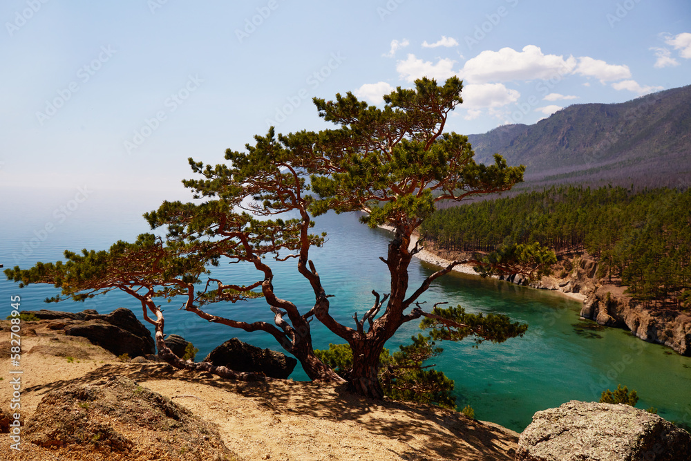 There is a larch tree on the rock. Beautiful summer landscape. Turquoise color of lake water, mountains covered with forest. 