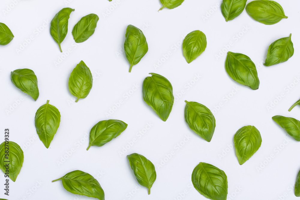 green leaves background green leaves background