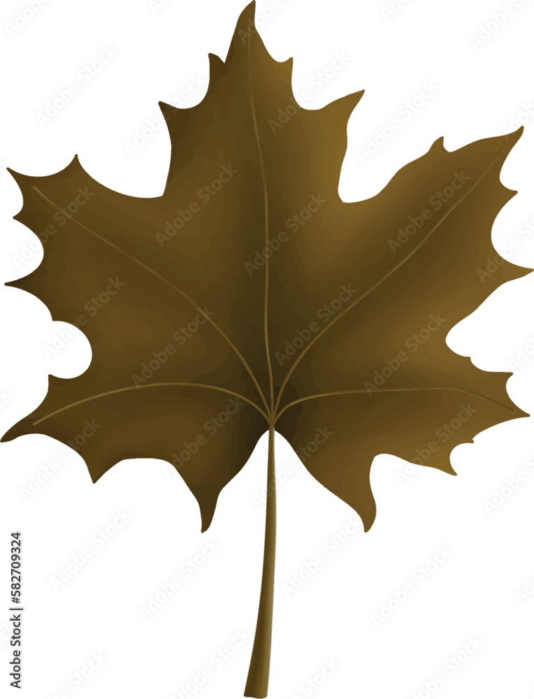 Autumn Maple Leaf Isolated Clipart. Maple Leaves design element