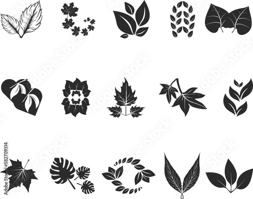 Leaf icon set, 15 organic leaf icon set black vector