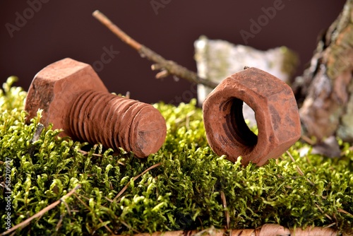 Śrubka z czekolady, nakrętka czekoladowa © Donia