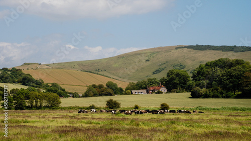 Cuckmere valley  Sussex  England