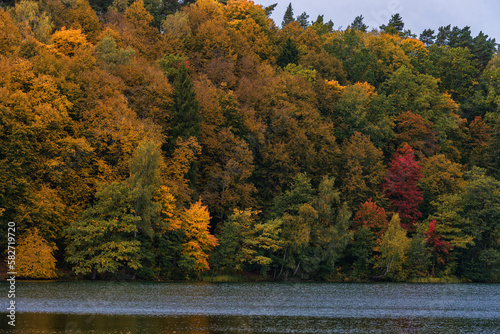 Autumn colors Tree and Forest in Lithunia. Zalieji ezerai. Landscape and Nature. Lake in foreground.