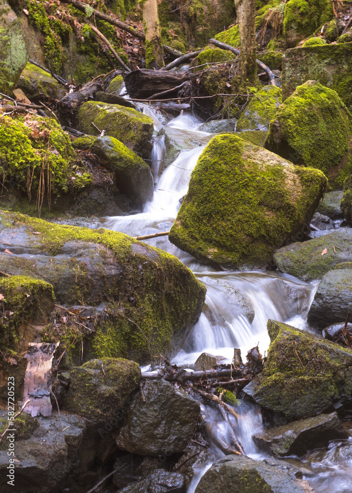 Fototapeta premium Stream of milky white water flowing through rocks in forest, Gothenburg, sweden