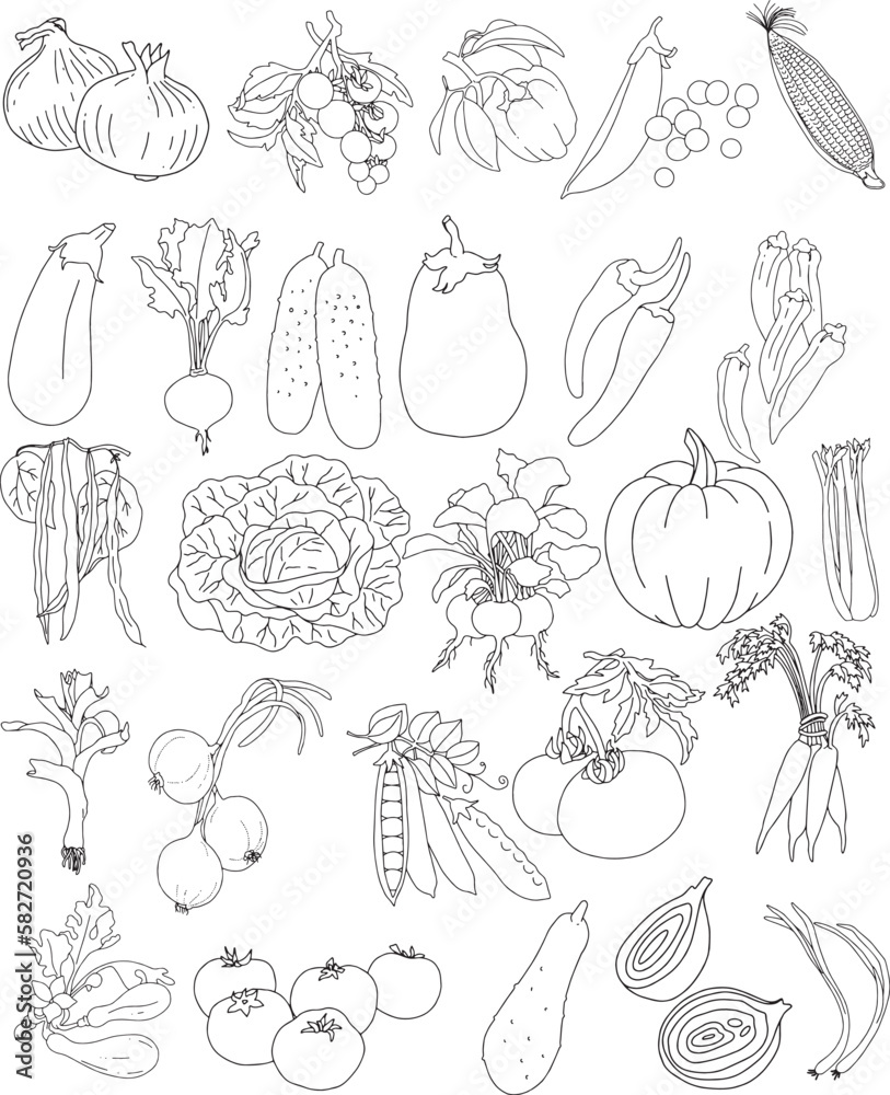 The collection of logo templates is decorated with calligraphic ornaments. Vector set of linear elements of vegetables