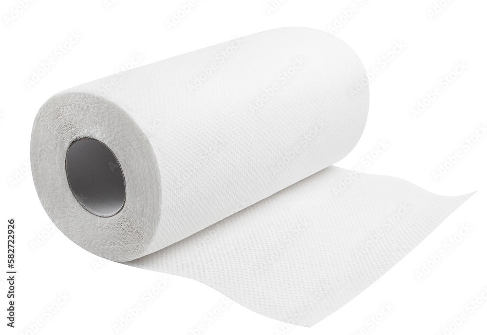 White paper towel roll cut out White paper towel roll cut out