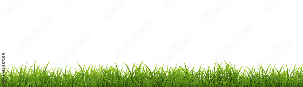 Grass Frame With White Background