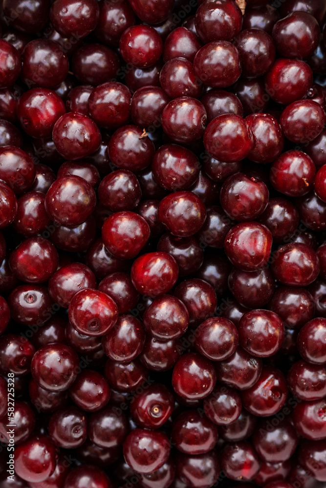 Cherry close-up, lots of berries Cherry close-up, lots of berries