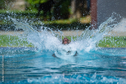 Hunde beim Hundebadetag im Freibad