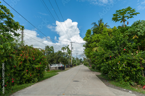 Street in Koror, Palau. Micronesia