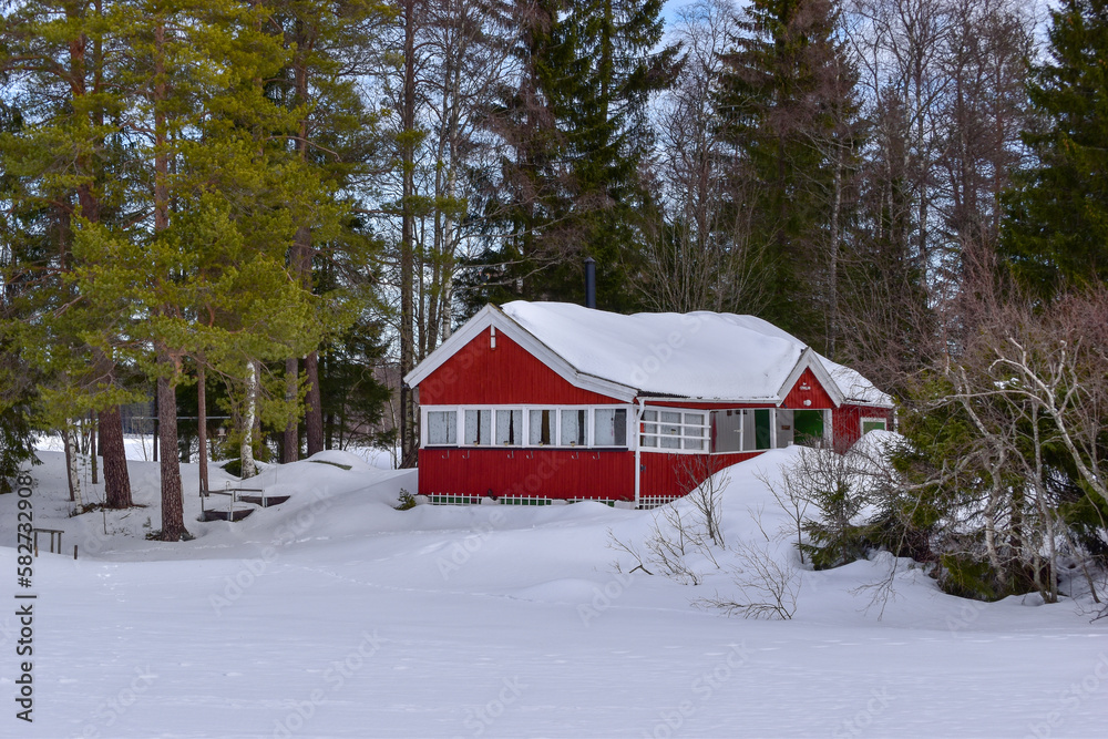 Cloudy winter day at the Nydala Lake, Umea city, Northern Sweden.