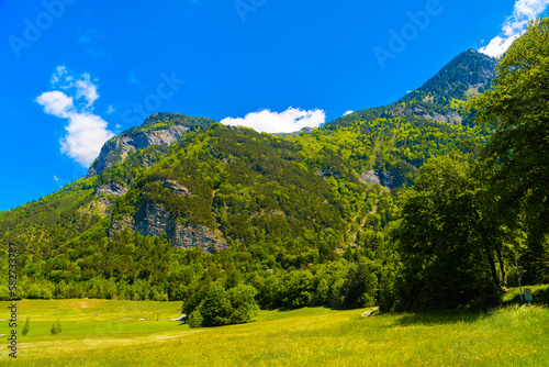 Green meadows, forest and mountains near Vaduz, Oberland Liechtenstein