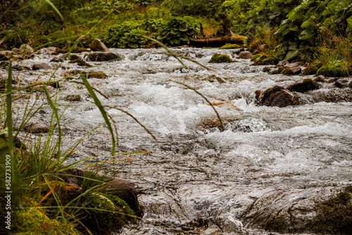 Nature scenic landscapes  mountain rivers and streams  brooks and small waterfalls  green summer nature