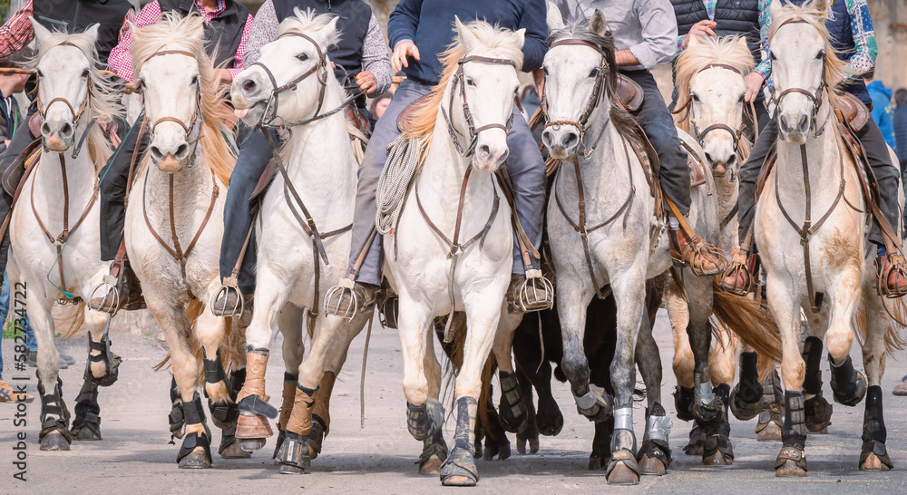 Bandido et abrivado dans une rue de village dans le sud de la France. Taureaux et chevaux de Camargue en liberté dans les rues. Tradition taurine.