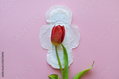 Feminine sanitary napkin and red tulip - a symbol of menstruation. Flower and pad on a pink background