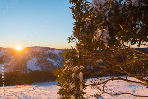 sun rise over the mountains, Mt Hotham, Australia photo