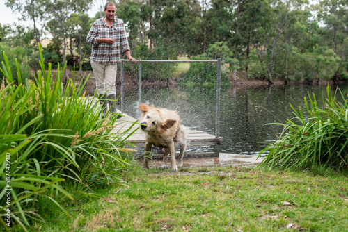 dog shaking off water as man looks on photo