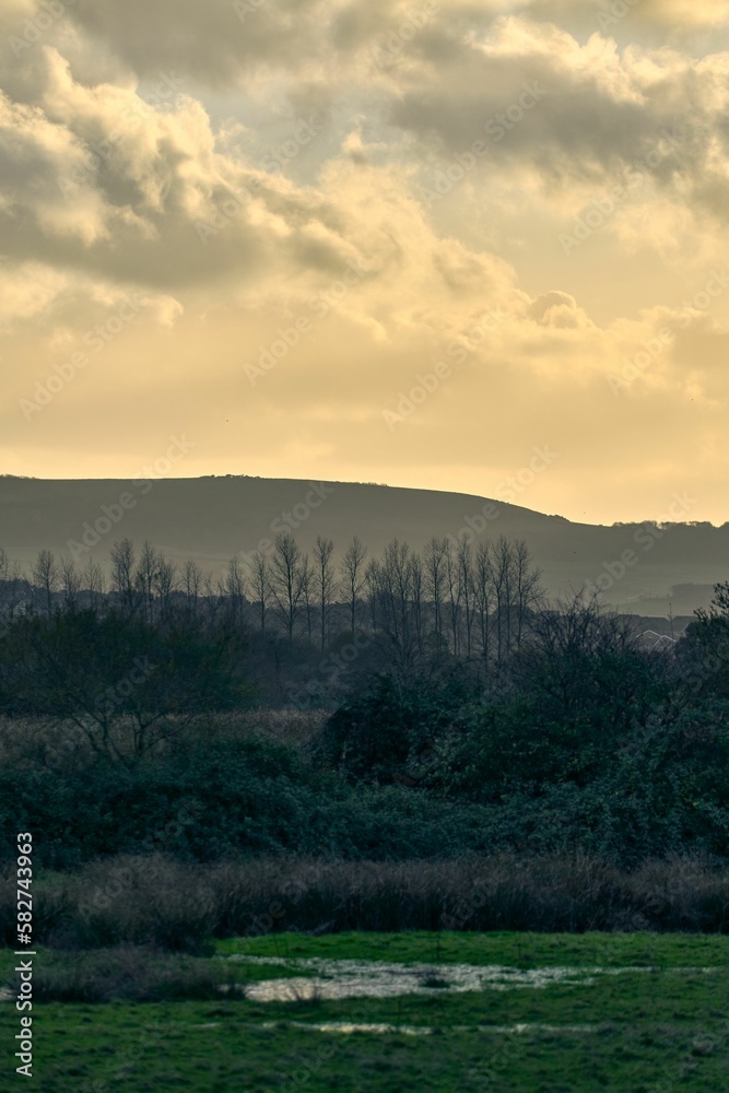 Vertical shot of a hazy morning at Brading marshes on the Isle of Wight