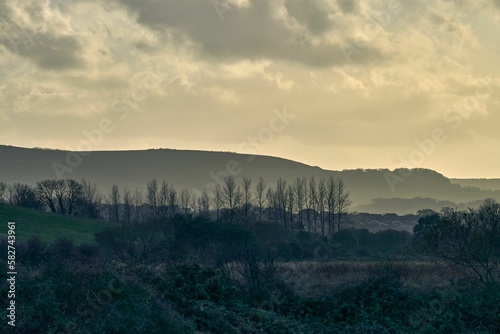 Fotografia Hazy morning at Brading marshes surrounded by trees and mountains on the Isle of