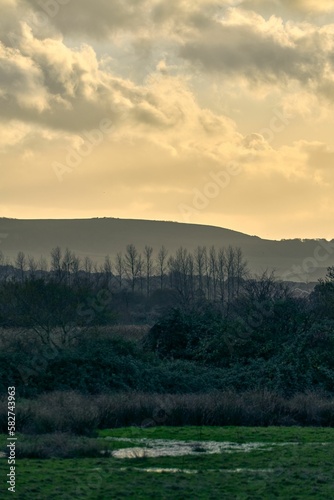 Vertical shot of a hazy morning at Brading marshes on the Isle of Wight © Chris West/Wirestock Creators