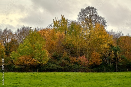 Autumn trees against a cloudy sky on the Isle of Wight