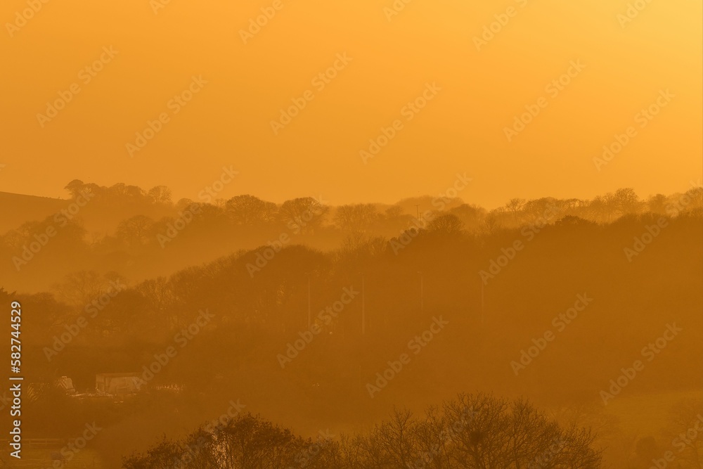 Calm yellow sunset over the silhouette of a forest