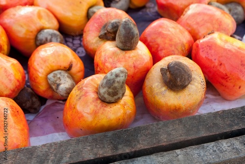 Delicious Fresh Cashew Fruit