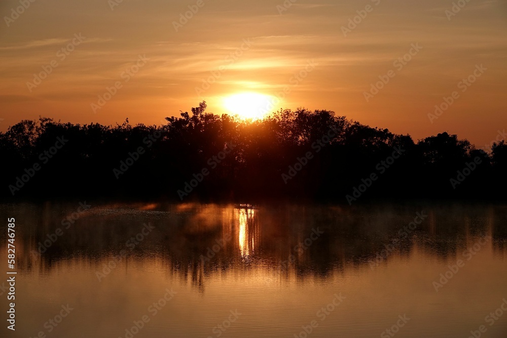 River with trees in the forest in shadow during scenic sunset