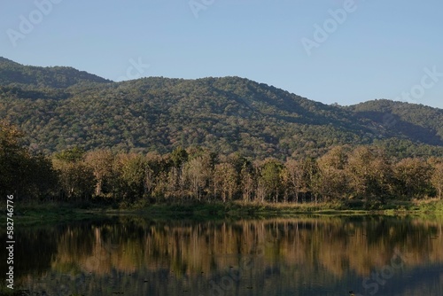 River reflecting trees and mountains on the shore on a sunny day © Detlef Sarrazin/Wirestock Creators