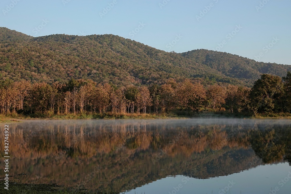 River reflecting trees and mountains on the shore on a sunny day