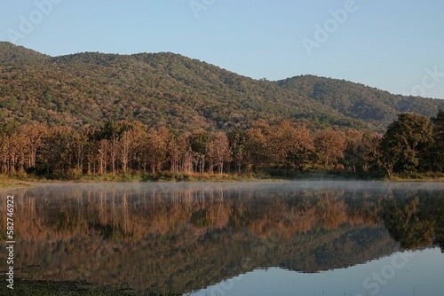 River reflecting trees and mountains on the shore on a sunny day