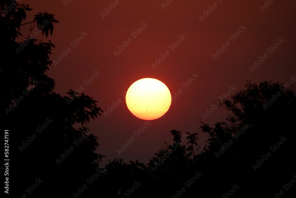 Obraz premium Closeup shot of an orange moon in water reflection surrounded by trees