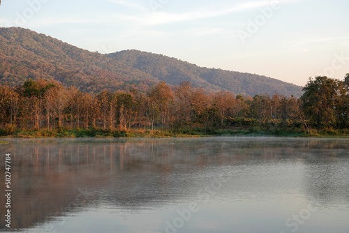 Scenic lake surrounded by trees