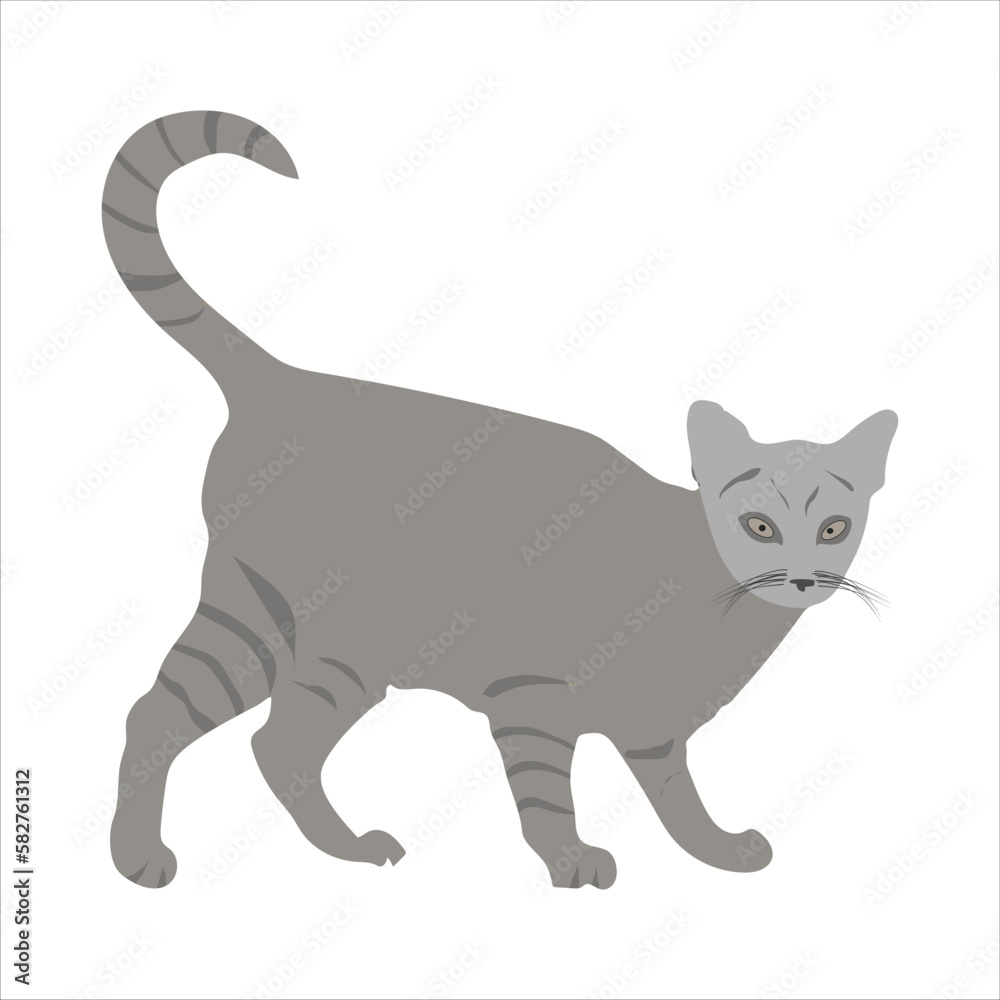 A very nice cat is standing vector artwork