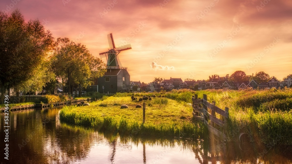 View of a Dutch windmill and sheep in the field at sunset in Zaanse Schans, Netherlands